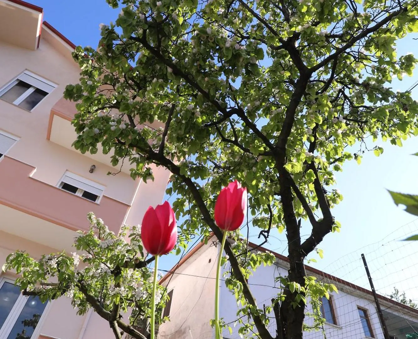 Turka Lake House Hotel Pogradec